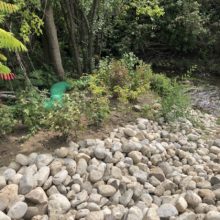 planting of shrubs and riverstones