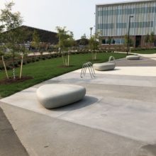 Research & Technology Park in Waterloo landscaping and pathways