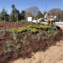 landscaping in progress by crew