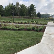 stamped concrete path and landscaping in Waterloo park