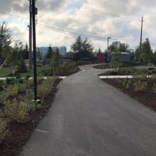 paved path through Waterloo park