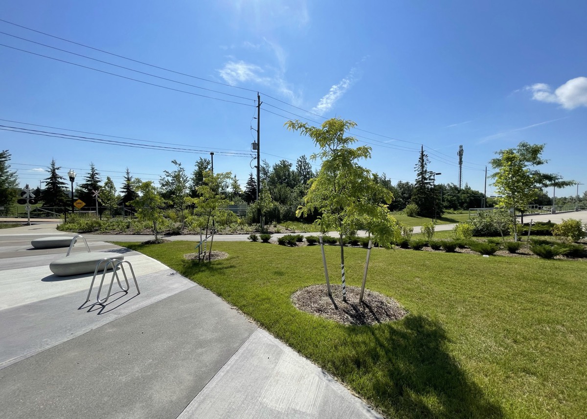 Research and Technology Park in Waterloo landscaping small trees planted