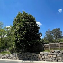 large quarry stone retaining wall along road