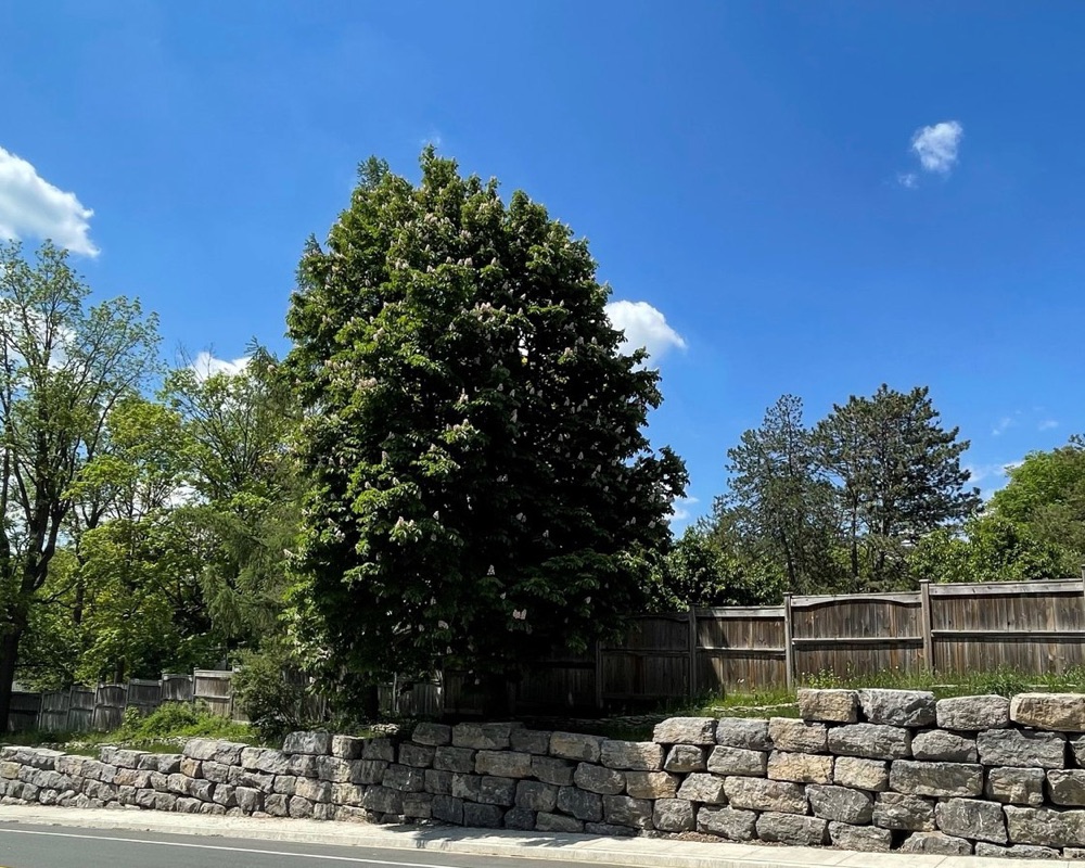 large quarry stone retaining wall along road