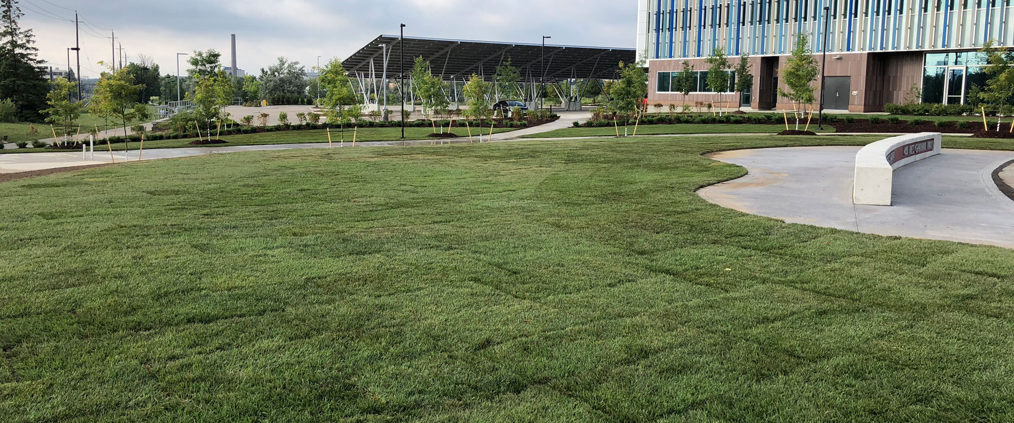 newly layed sod at the Research & Technology Park in Waterloo