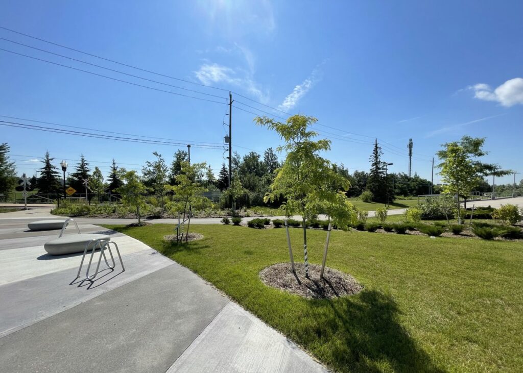 Research Technology Park Waterloo planting trees