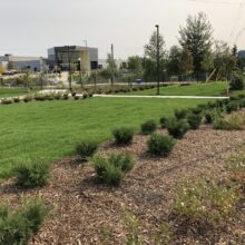Research Technology Park Waterloo landscaping grass