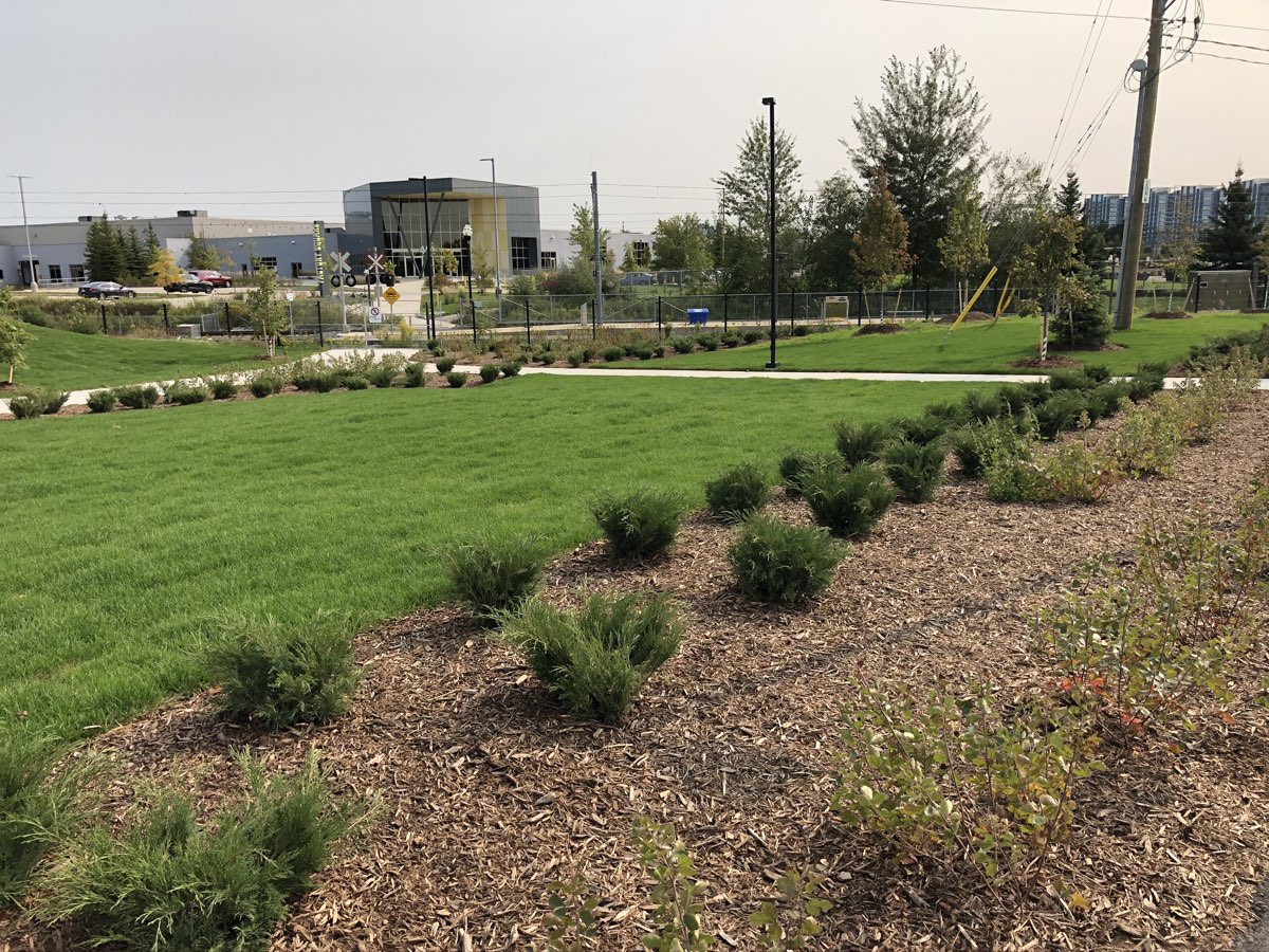 Research Technology Park Waterloo landscaping grass