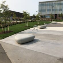 Research Technology Park Waterloo landscaping