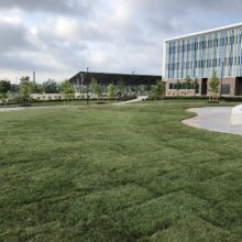 Research Technology Park Waterloo new sod